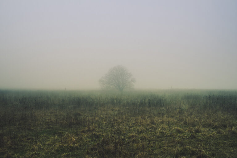 Ⅱ.空間詩とは何か ─ 意味を構築する美学