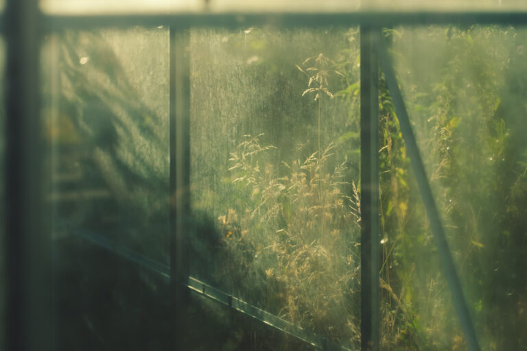 Ⅸ. 記憶の構造 ─ 静寂と連続のあいだで